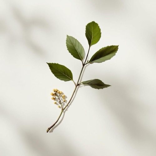 Hőszigetelő burkolat