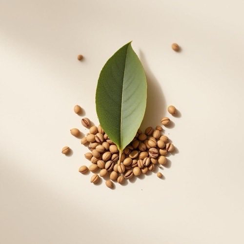 Koffein természetes forrásai