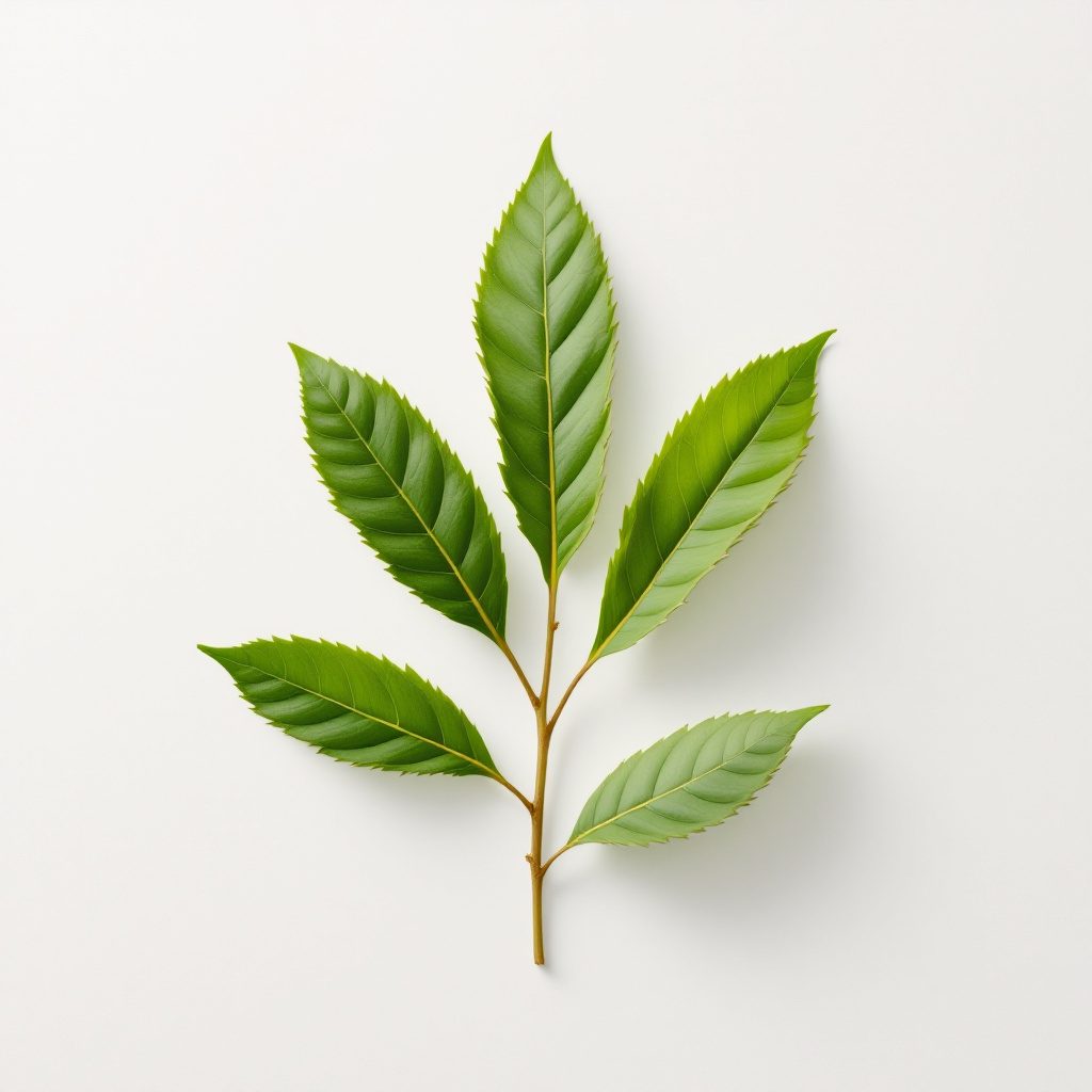 Magasnyomású fúvóka