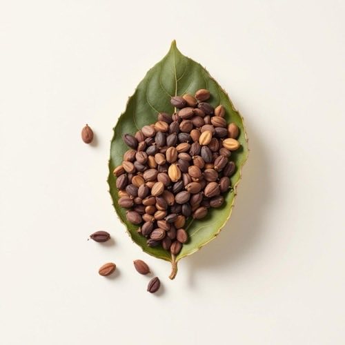 Masszázsgörgő mechanizmus közelről