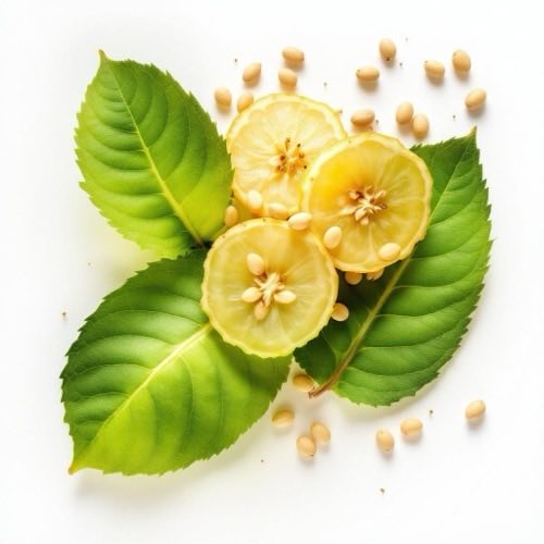 Caffè verde chicchi non tostati