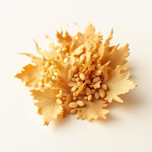 Foglie di damiana essiccate su sfondo chiaro