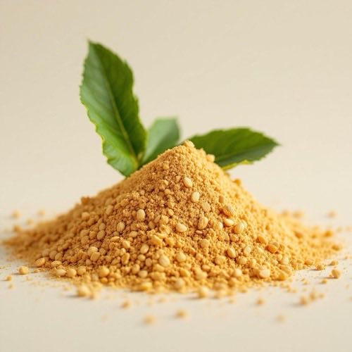 Radice di maca secca in polvere su sfondo neutro