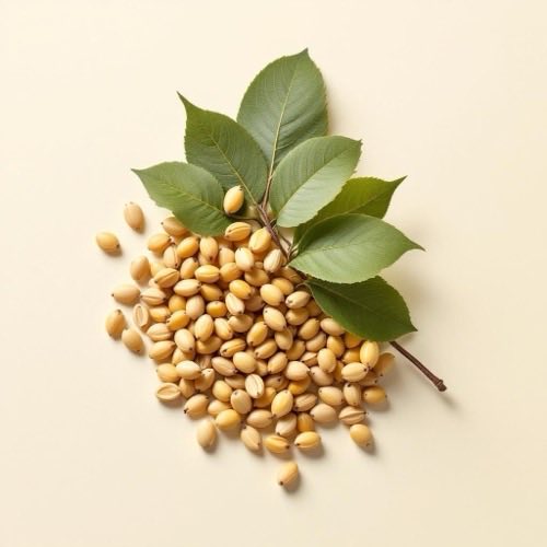 Semi di girasole e olio in composizione naturale