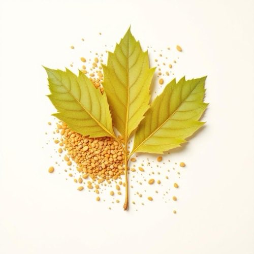 Semi di Selenio, oligoelemento essenziale