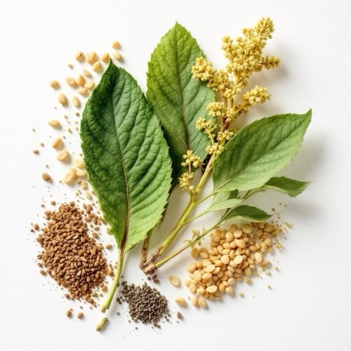 Valeriana radice e fiori