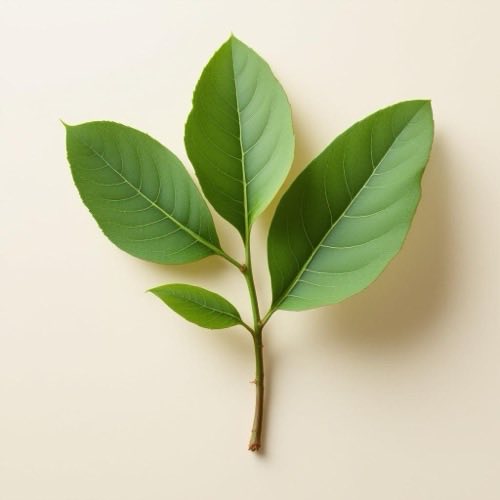 Vitamina C in forma di acido ascorbico