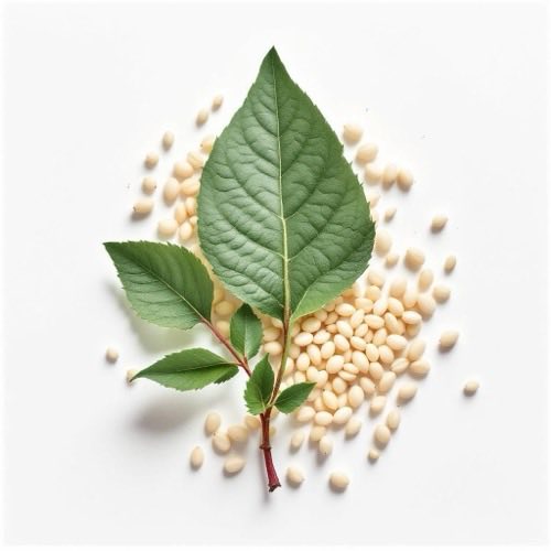 Zinco minerale essenziale