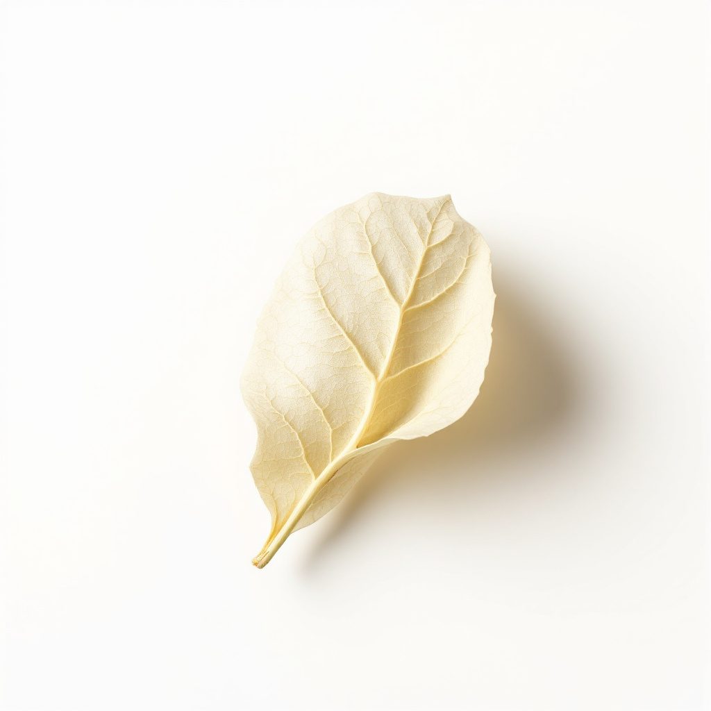 Banaba Leaf (Lagerstroemia speciosa)