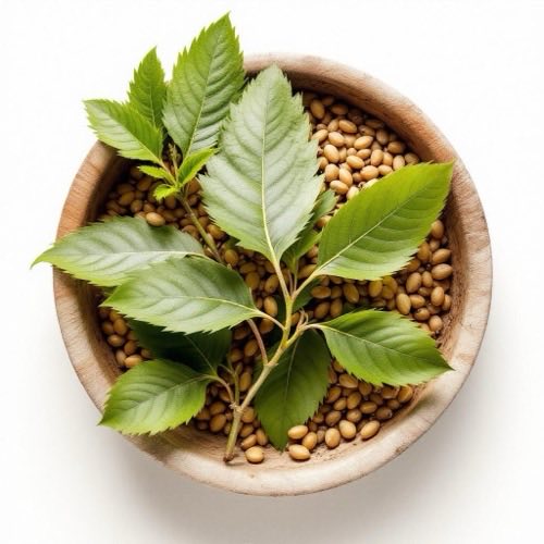 Antioksidantų turintys vaisiai ir uogos natūralioje kompozicijoje