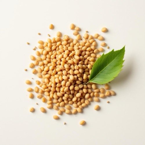 Eukalipto lapai ir šakelės