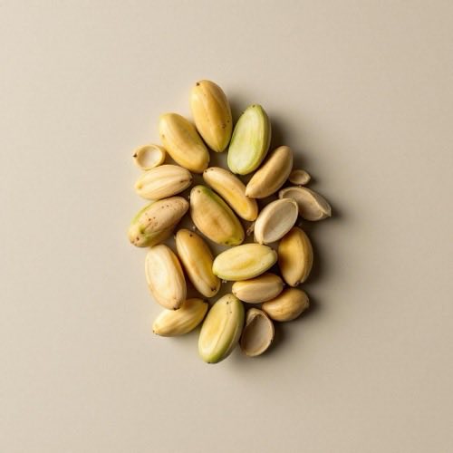 Melaleuca alternifolia – arbatmedžio šakelės su lapais