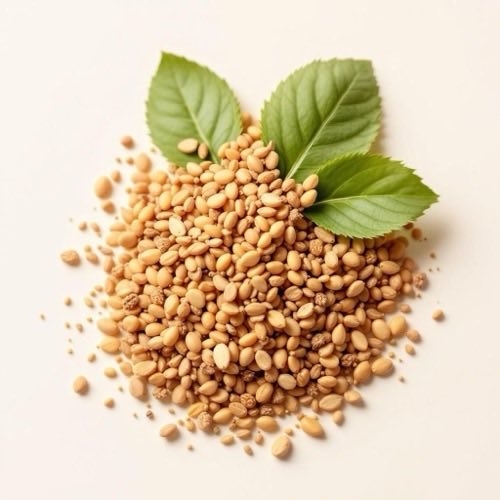 Mėtų lapai natūralus ingredientas