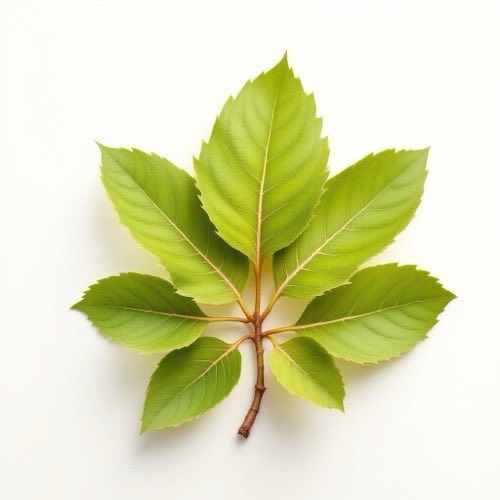 Natūralus druskos tirpalas