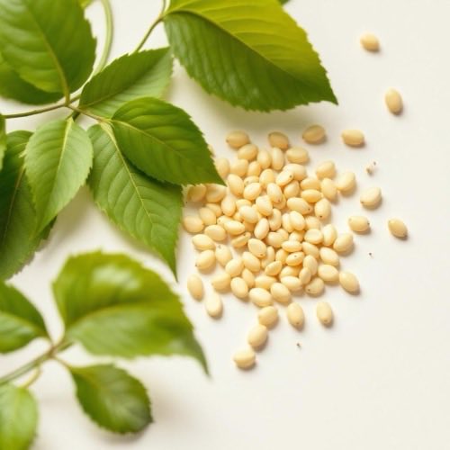 B vitamīnu komplekss