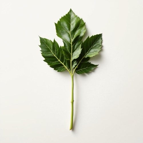 Papaya fruct tropical portocaliu