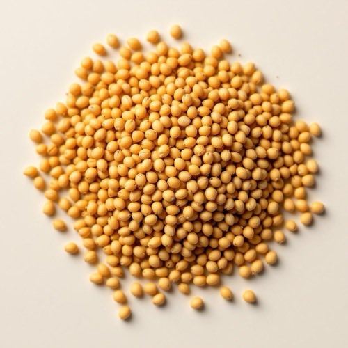 Fenugreek seeds on neutral background