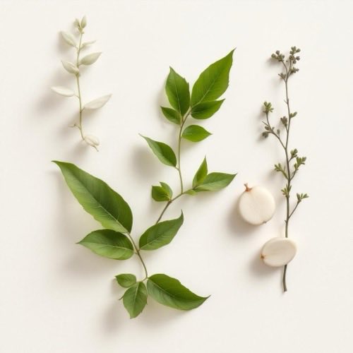 Hojas de sen en rama seca