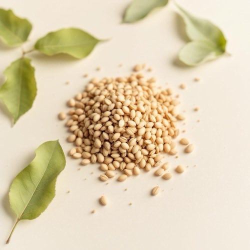 Raíz de jengibre fresca sobre superficie de madera