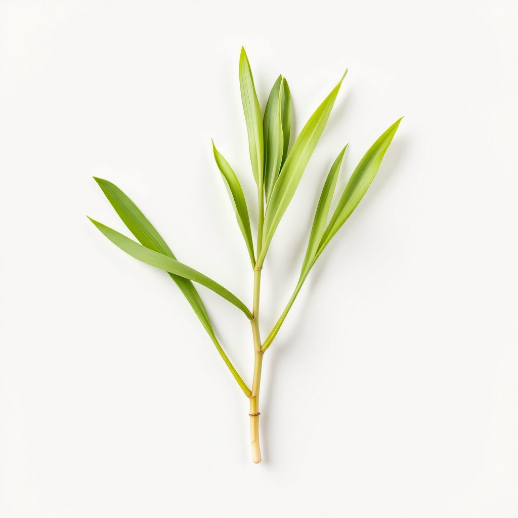Lemongrass