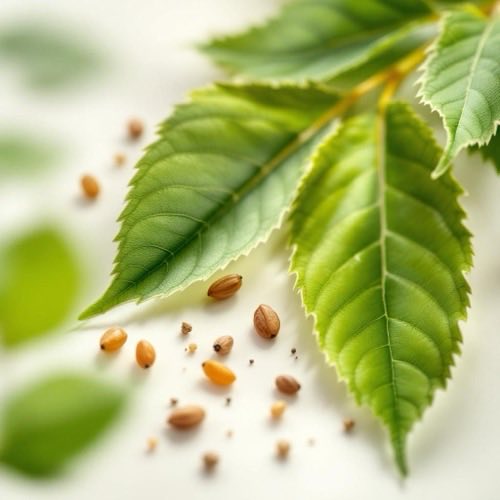 Chrom jako pierwiastek śladowy