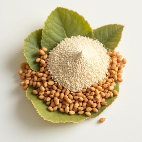 Korzeń kurkumy w przekroju