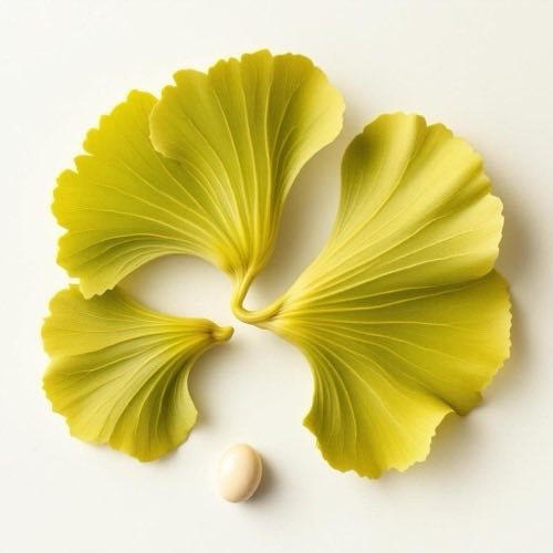 Korzeń żeń-szenia w naturalnym otoczeniu