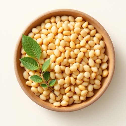 Żywica kadzidłowca Boswellia w naturalnej formie