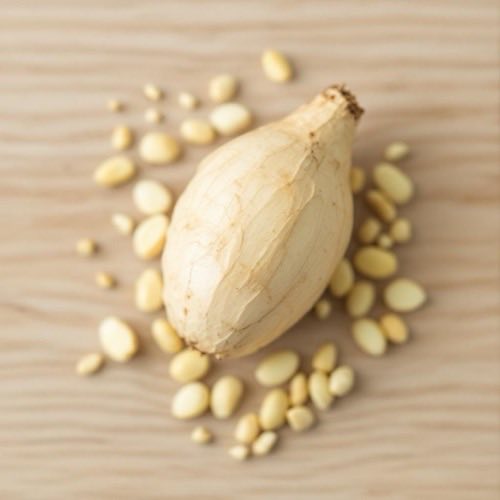 Căței de usturoi proaspeți pe fundal de lemn rustic