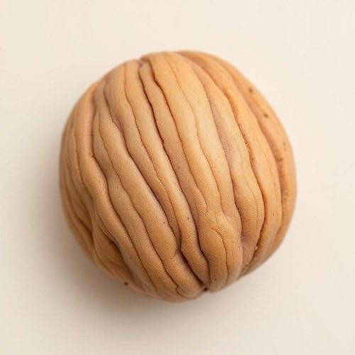 Ciuperci reishi uscate pe fundal de lemn