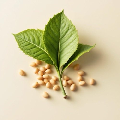 Luteină din surse naturale