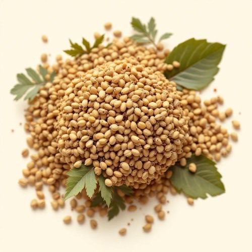 Rădăcină de berberină pe fundal neutru