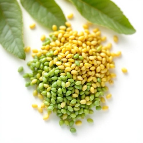 Rădăcină de valeriană proaspătă pe fundal neutru