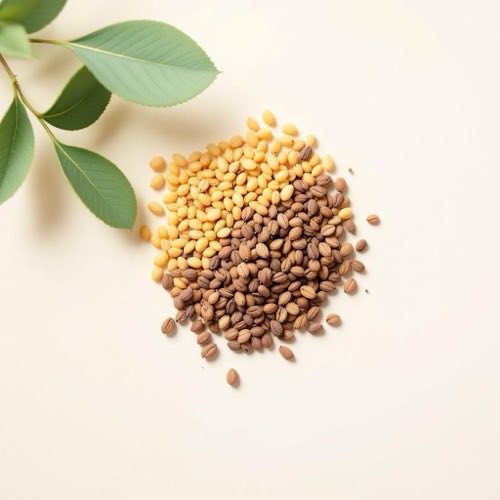 Ulei esențial de eucalipt frunze proaspete