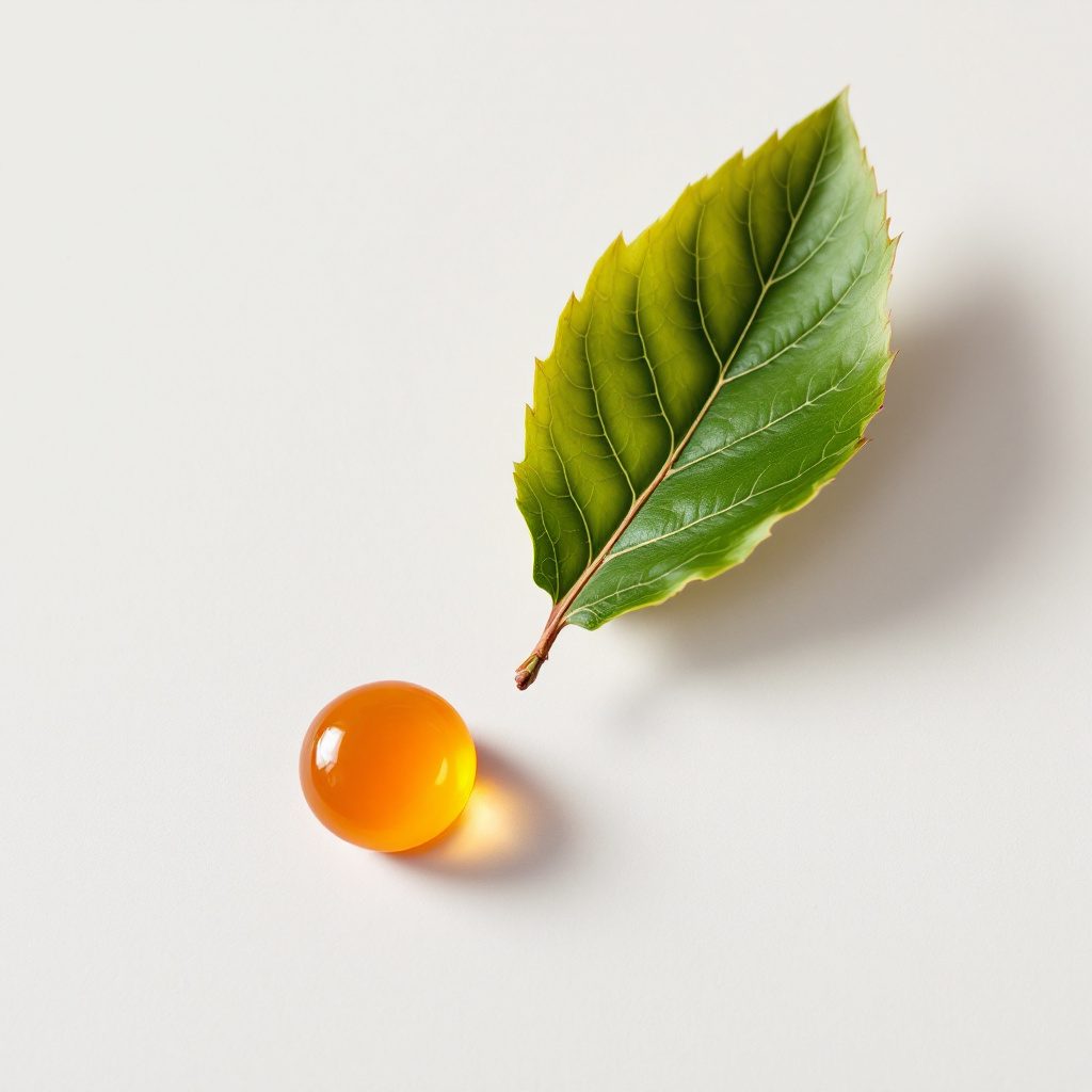 Kyselina askorbová (vitamín C)