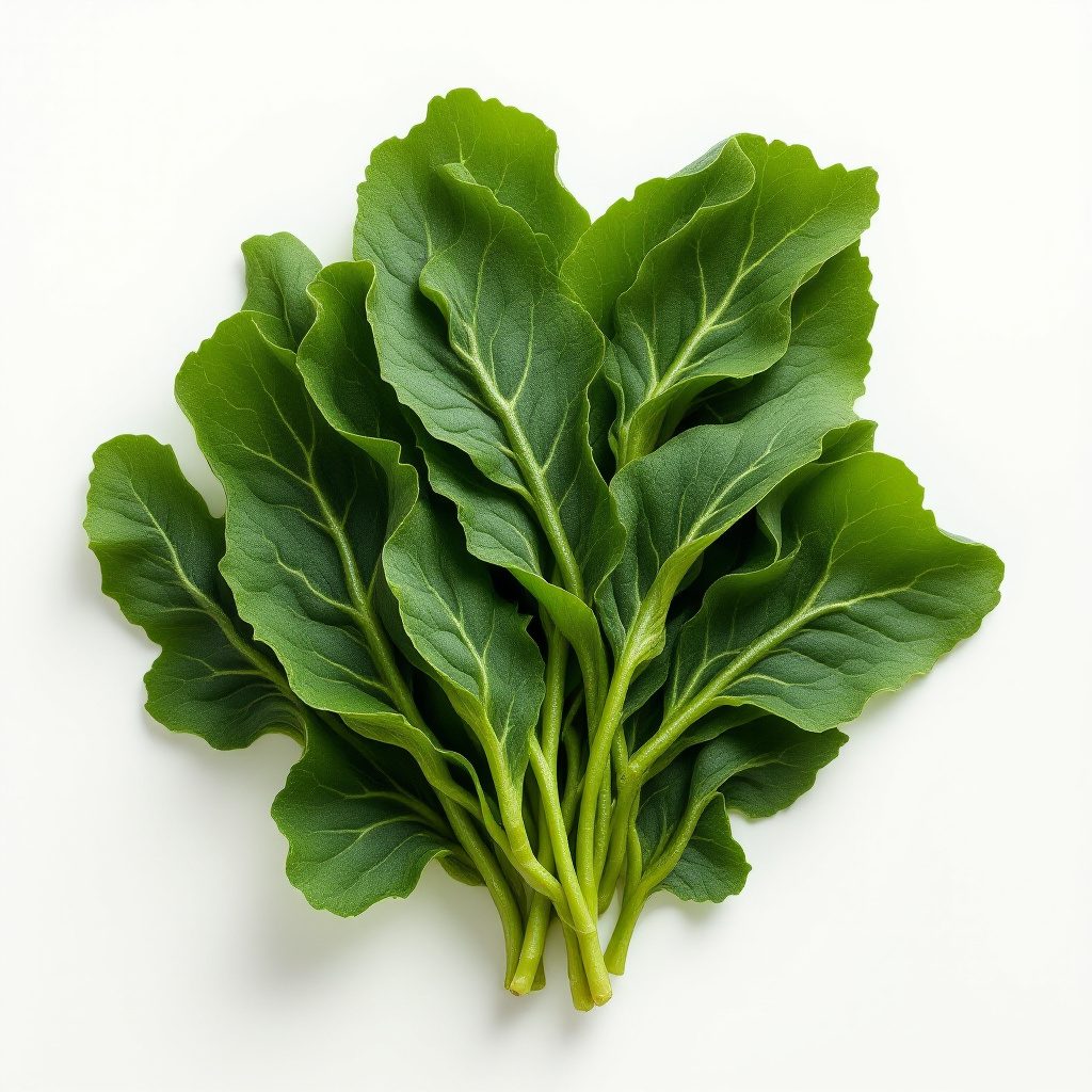 Kelp