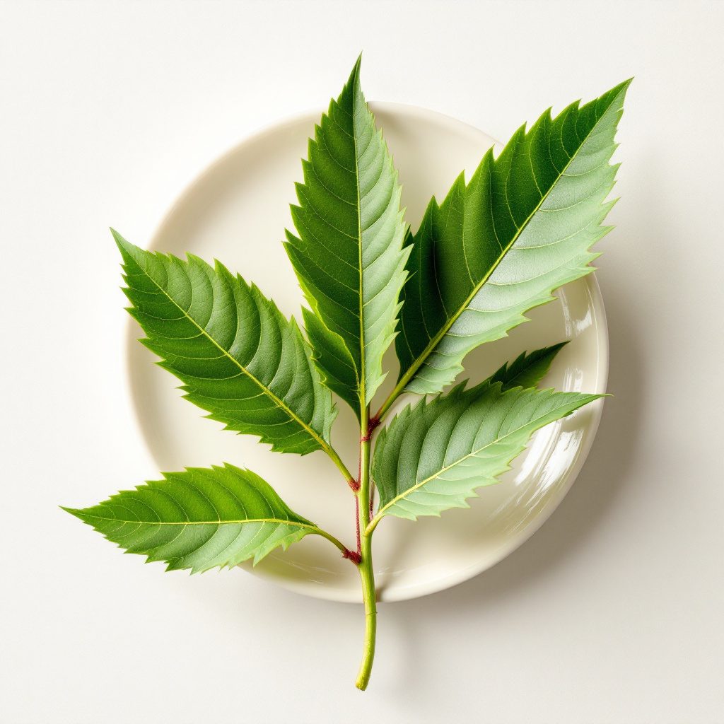 L-Arginine ingredient