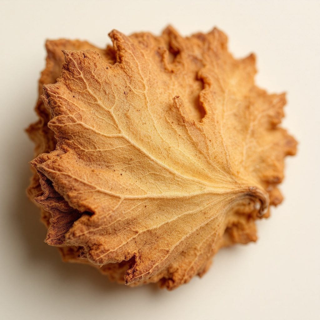 Pygeum africanum bark