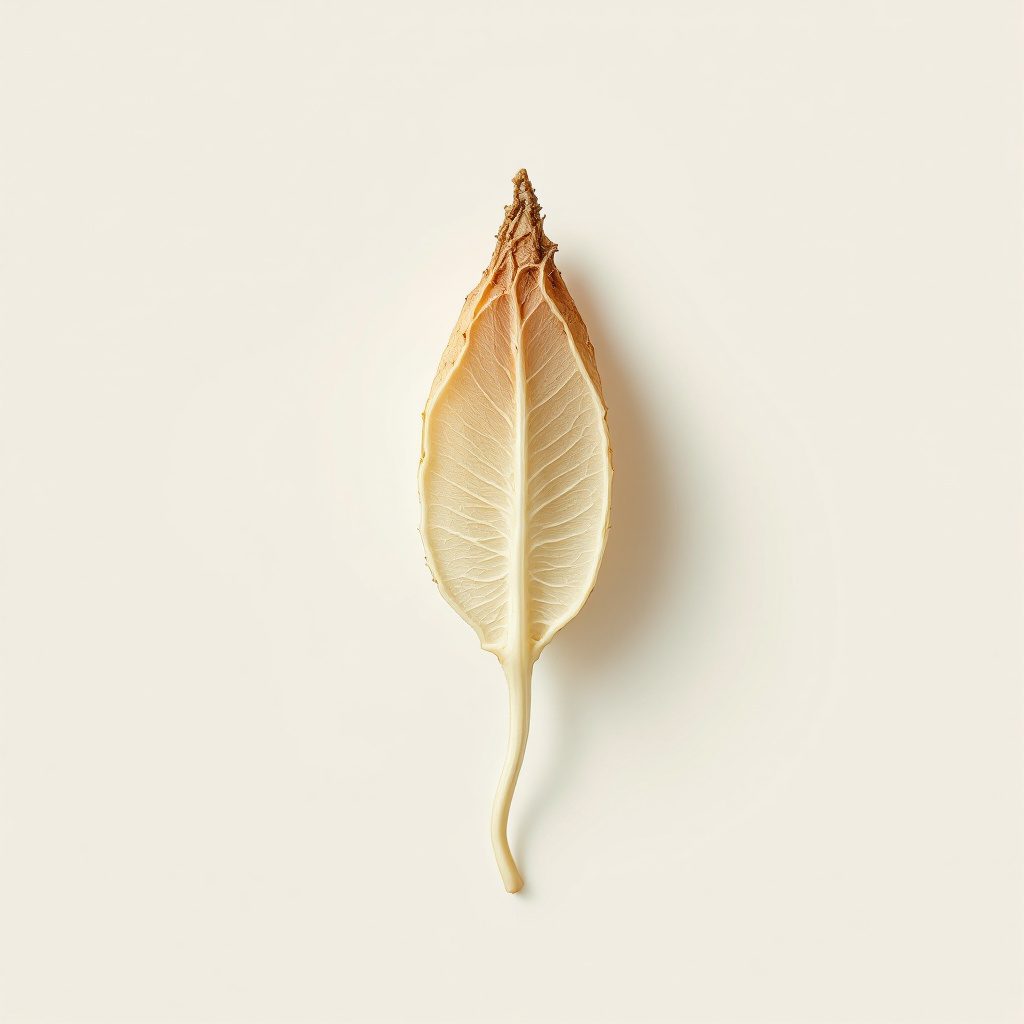 Silikon qoplama