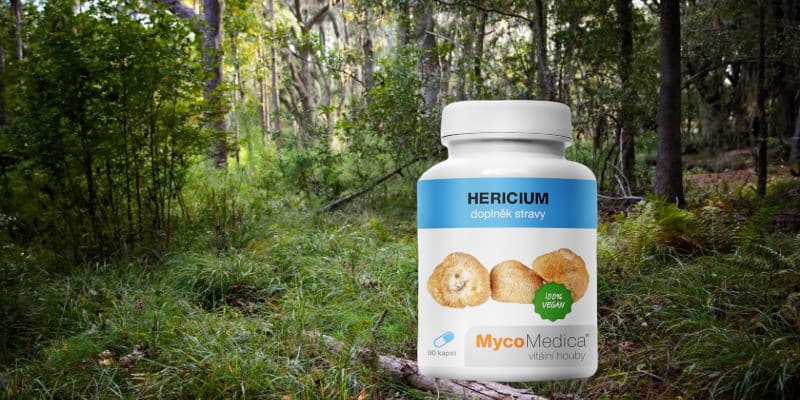 hericium