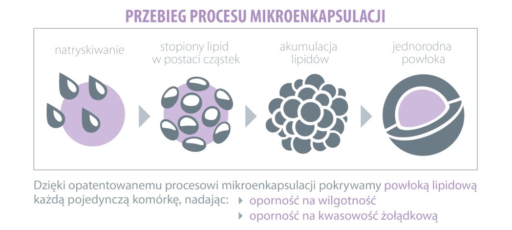 probiotyk dla kobiet