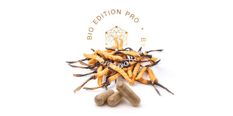 MycoMedica Cordyceps