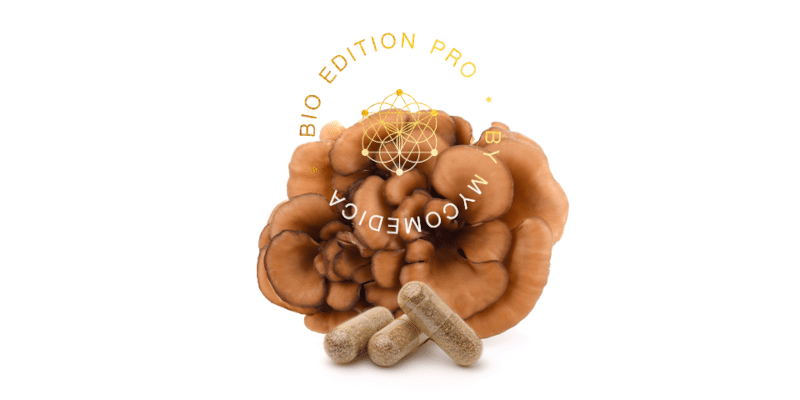 Maitake MycoMedica