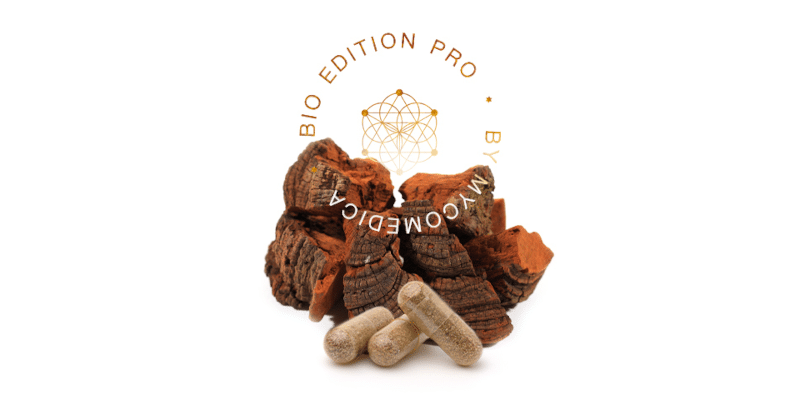 MycoMedica Phellinus 