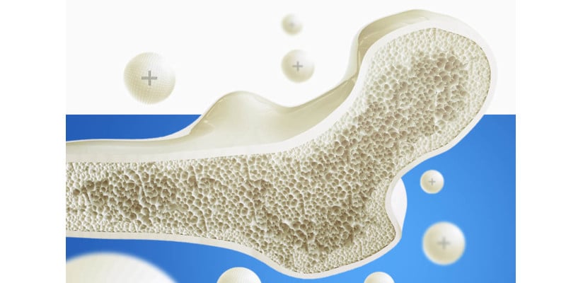 Osteo Intercell